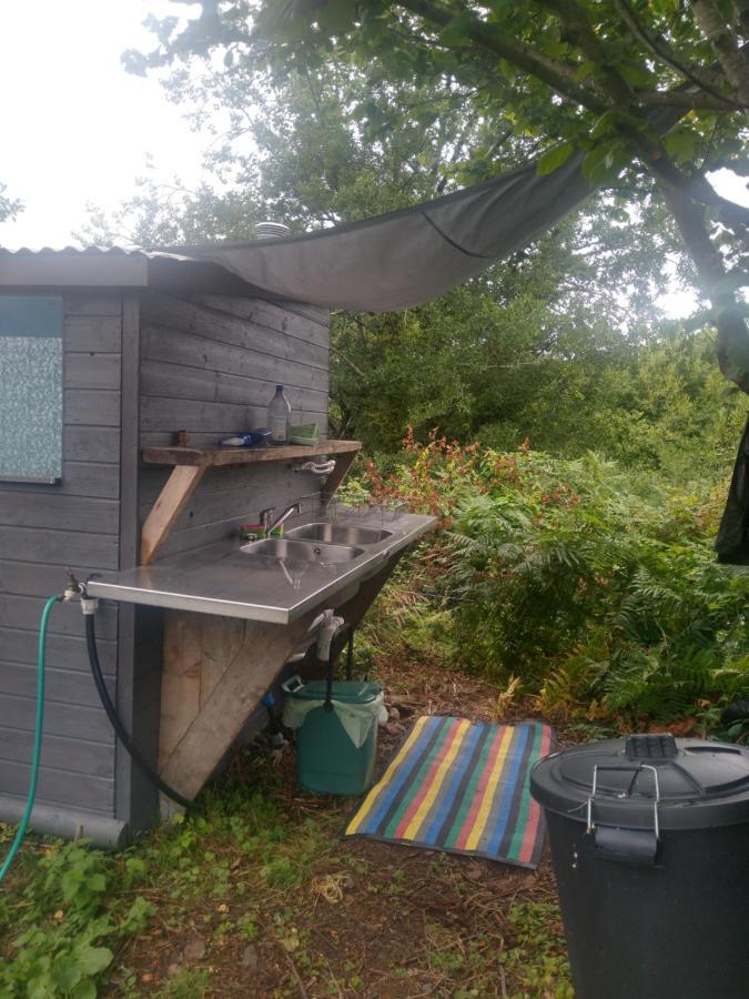 Blackberry Patch Hotell Pontyates Eksteriør bilde