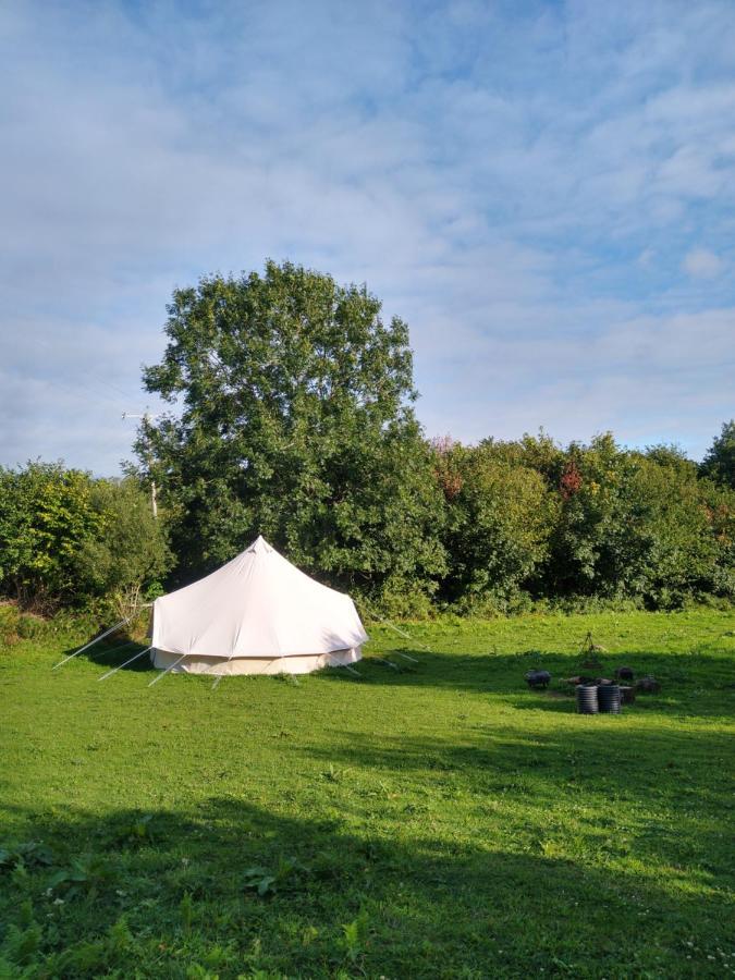 Blackberry Patch Hotell Pontyates Eksteriør bilde